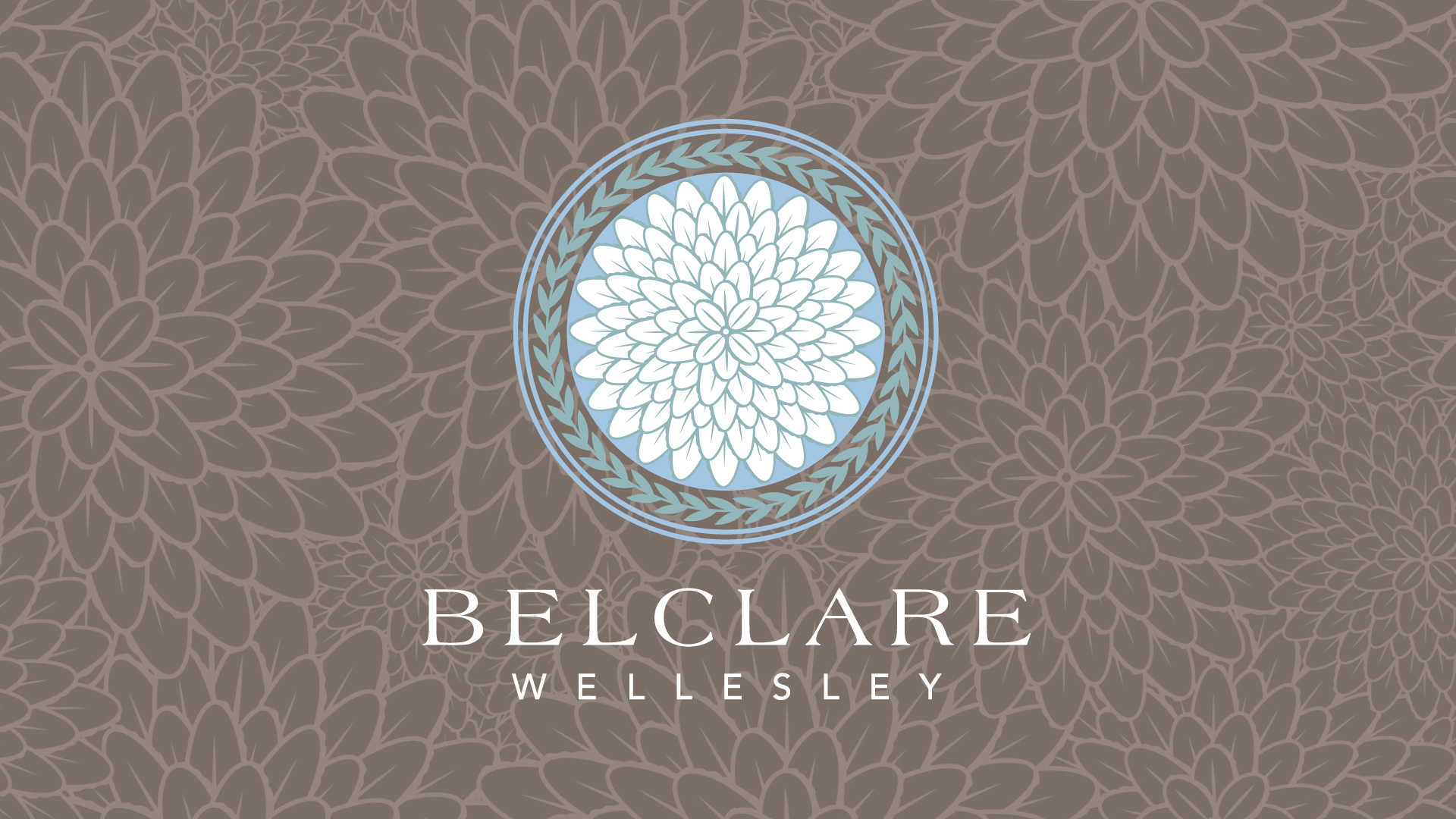 Belclare logo on pattern background
