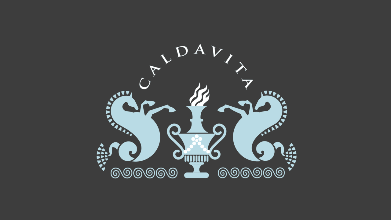 Blue Calda Vita logo on dark gray