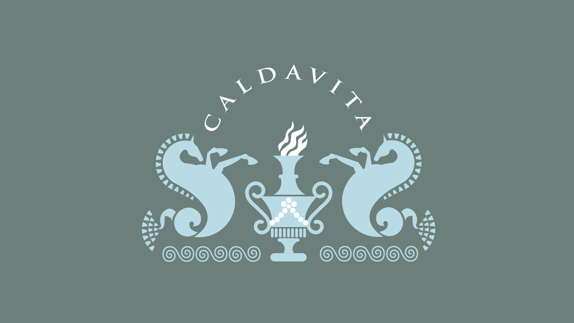 Blue Calda Vita logo on green