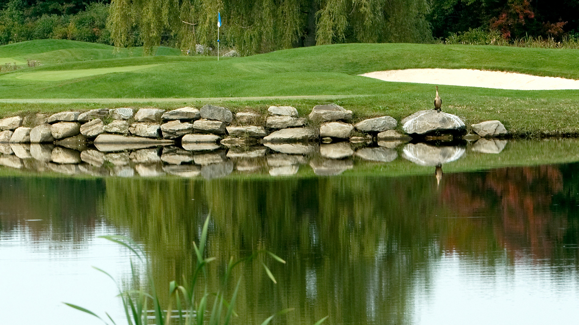Merrimack golf club with water and rocks and bird