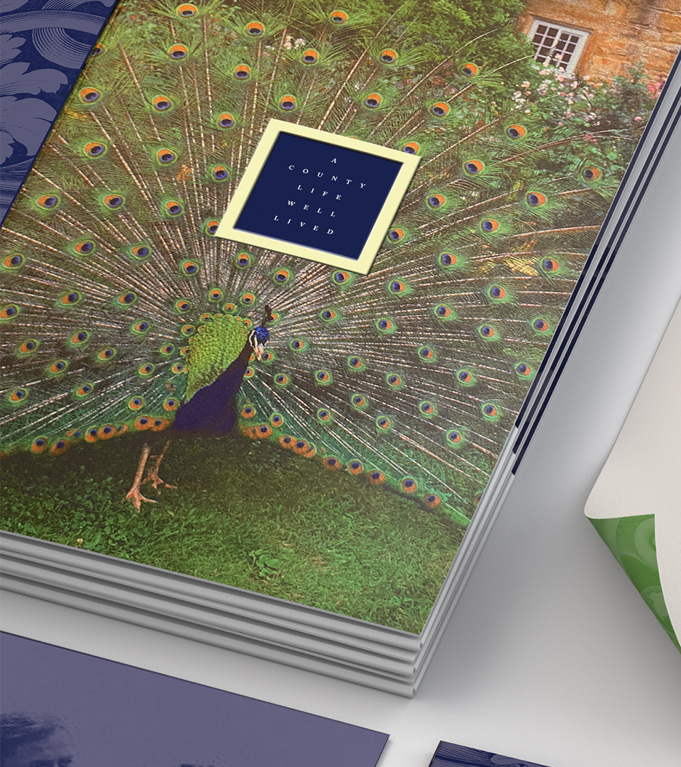 Close up of Turner Hill brochure cover with peacock