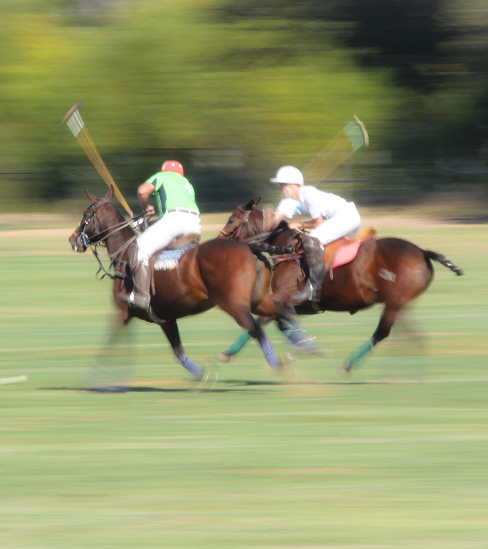 two turner hill polo players by adams design best brochure designer