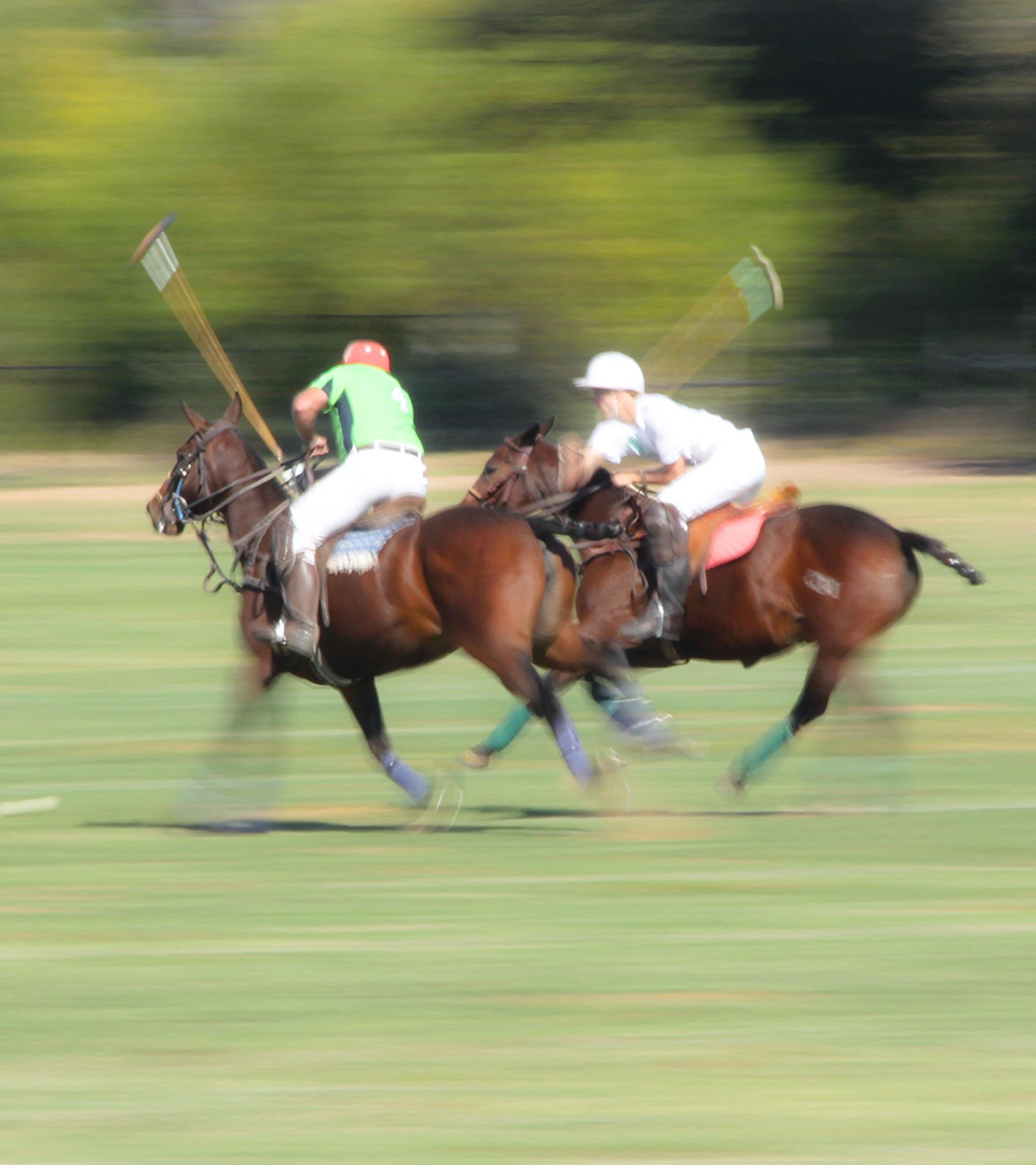 two turner hill polo players by adams design best brochure designer