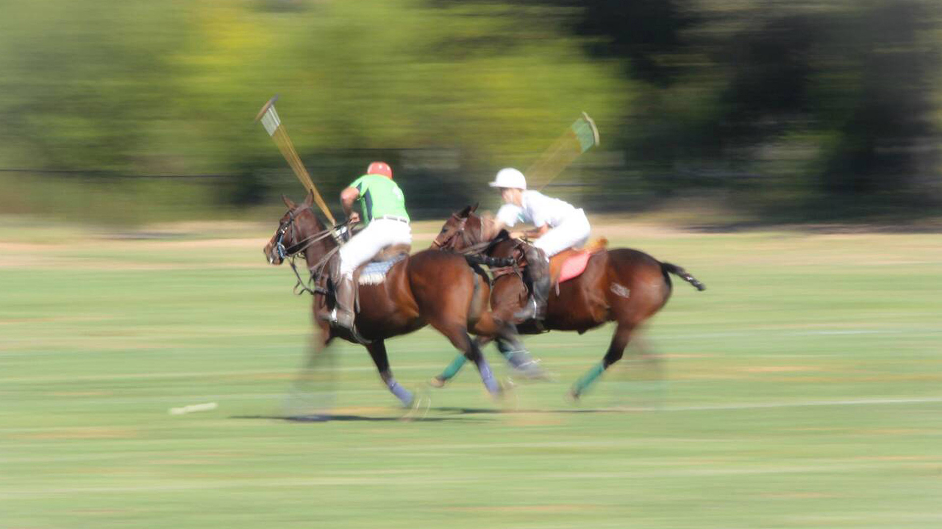 two turner hill polo players by adams design best brochure designer