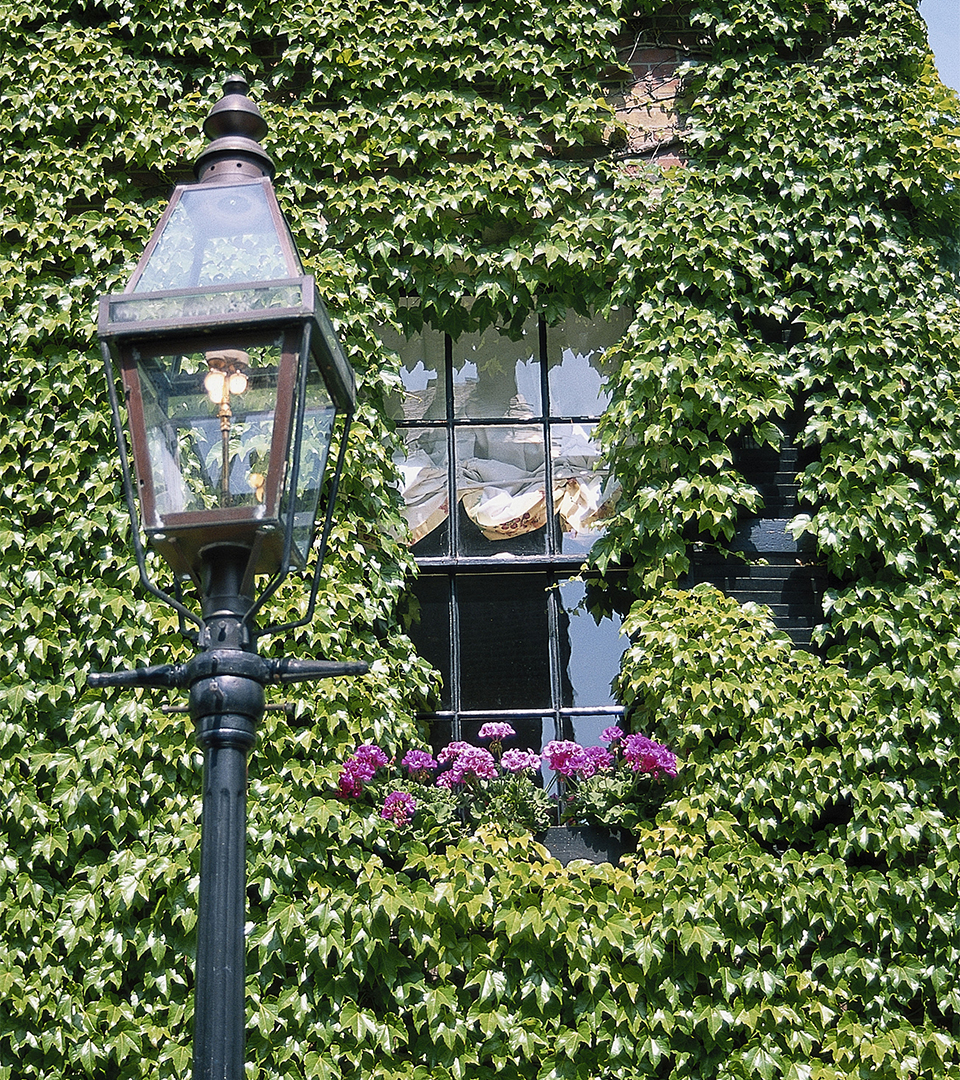signet beacon hill green ivy and gas lamp.jpg
