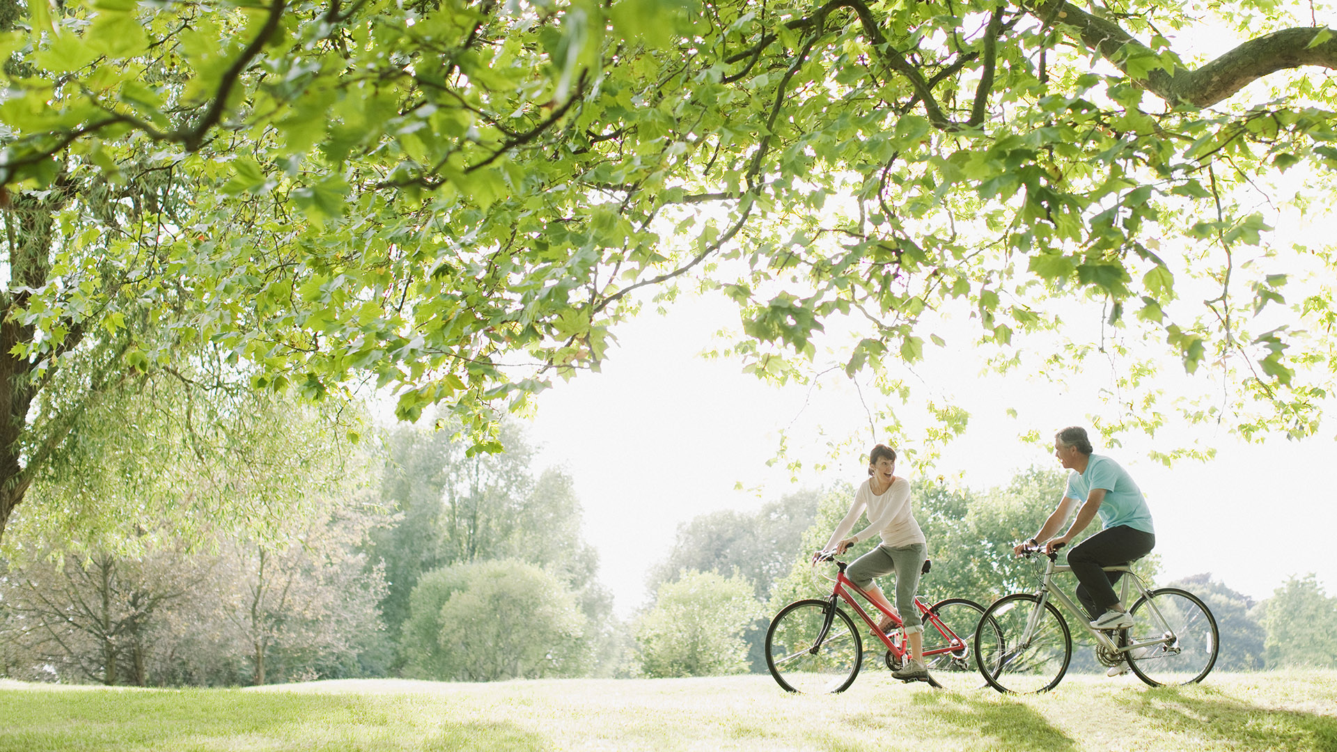 the bristol wellesley couple on bicycles riding through green meadow and trees