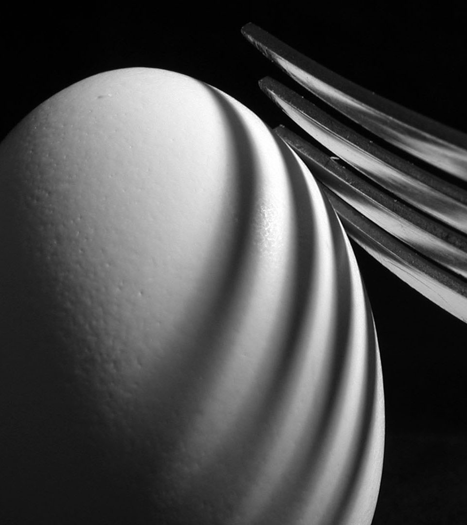 align egg and fork in black and white vertical