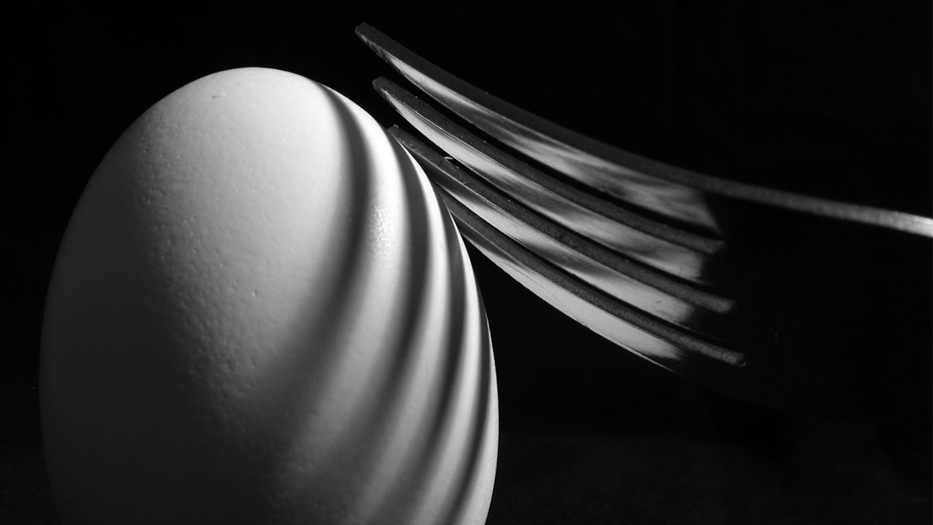 align egg and fork in black and white