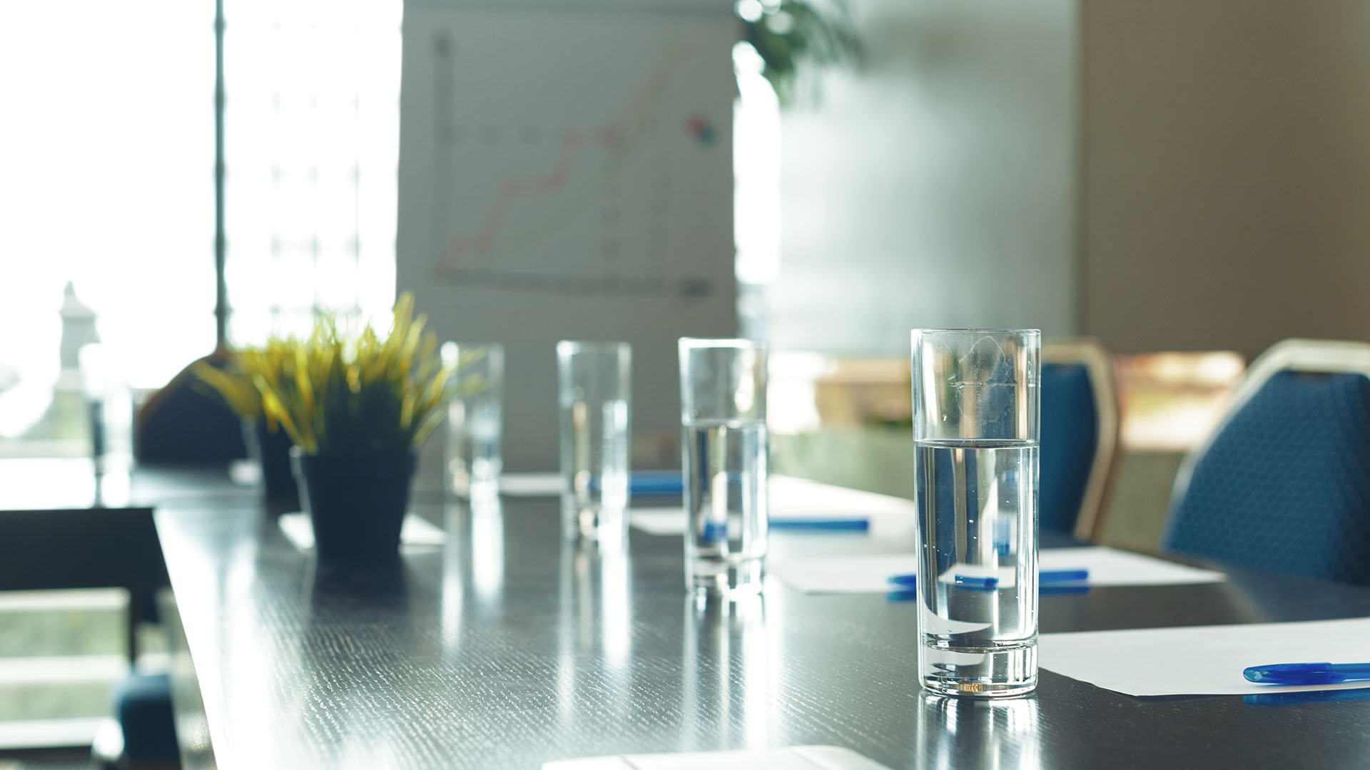 noannet office confrerence room with water glasses on table