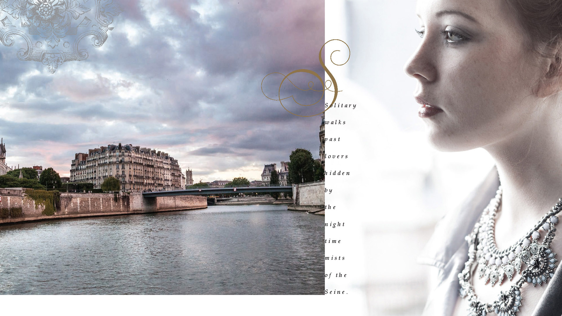 adams packert book woman looking at seine in paris