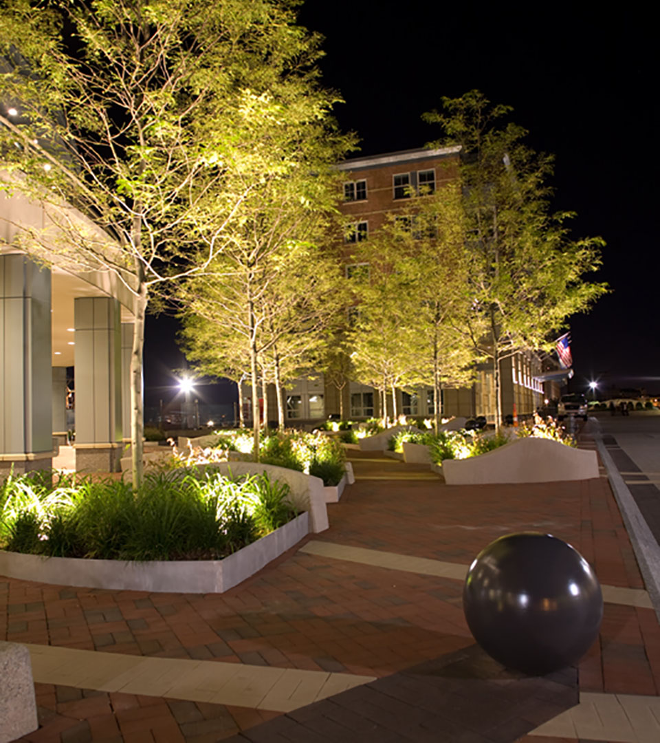 battery wharf ball and trees