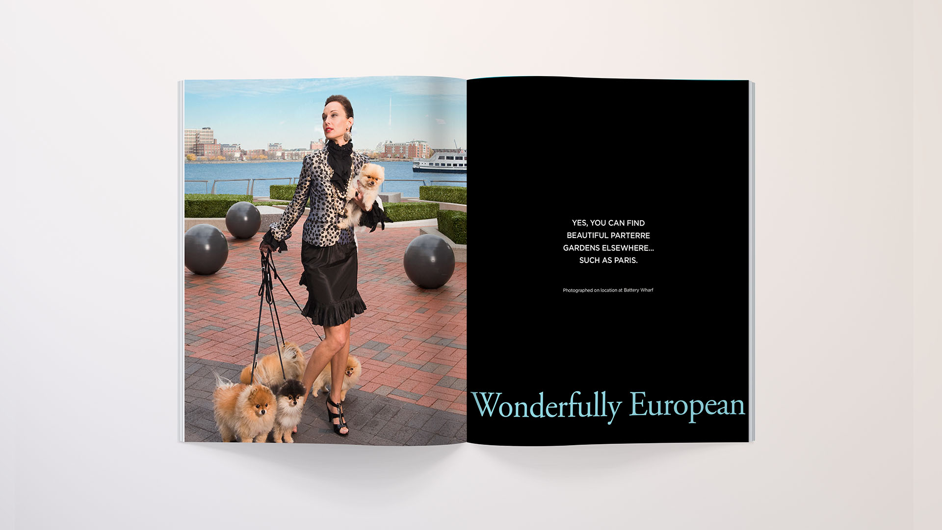 battery wharf woman with dogs
