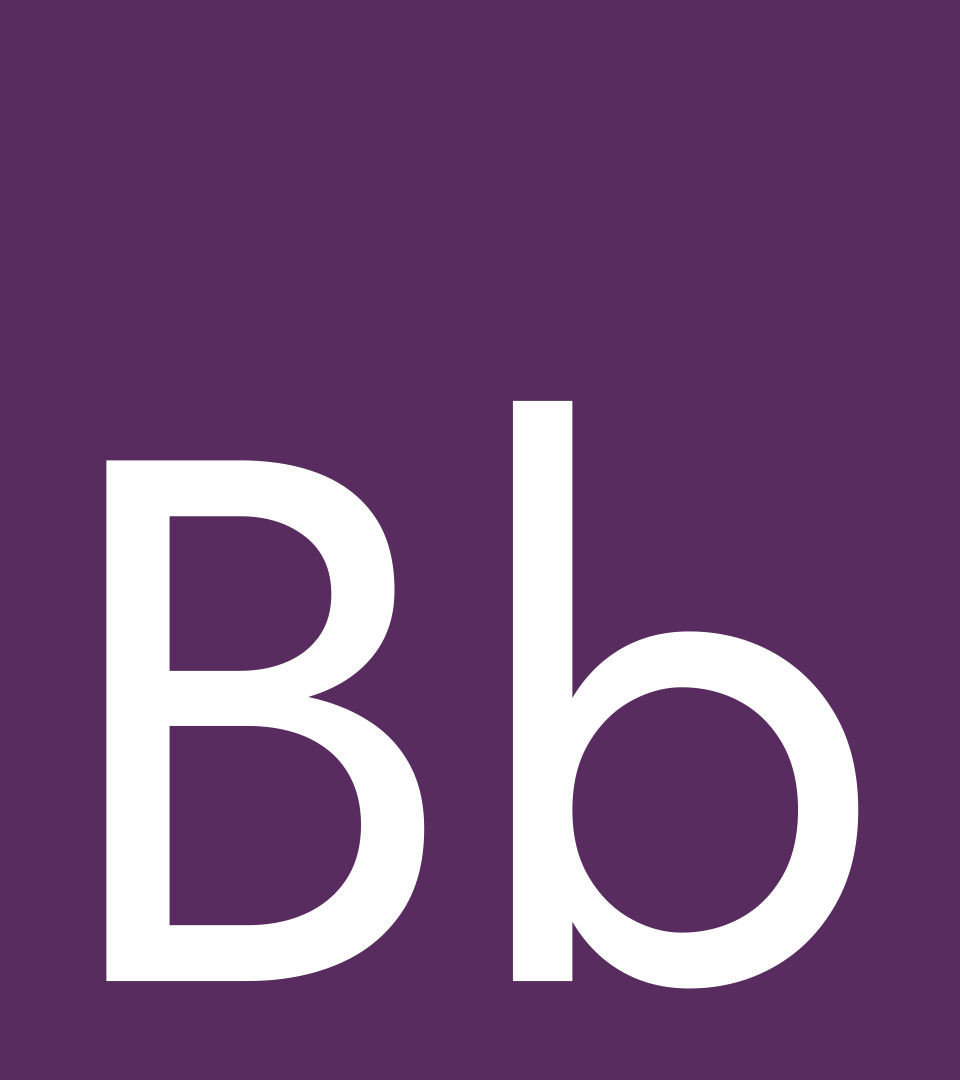 bermans jost font on purple