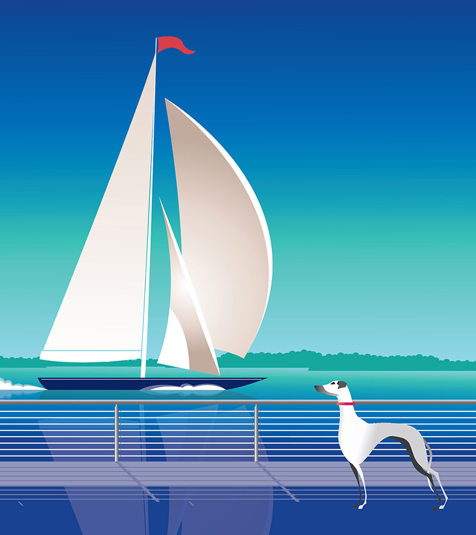 brio hingham vertical dog watching sailboat
