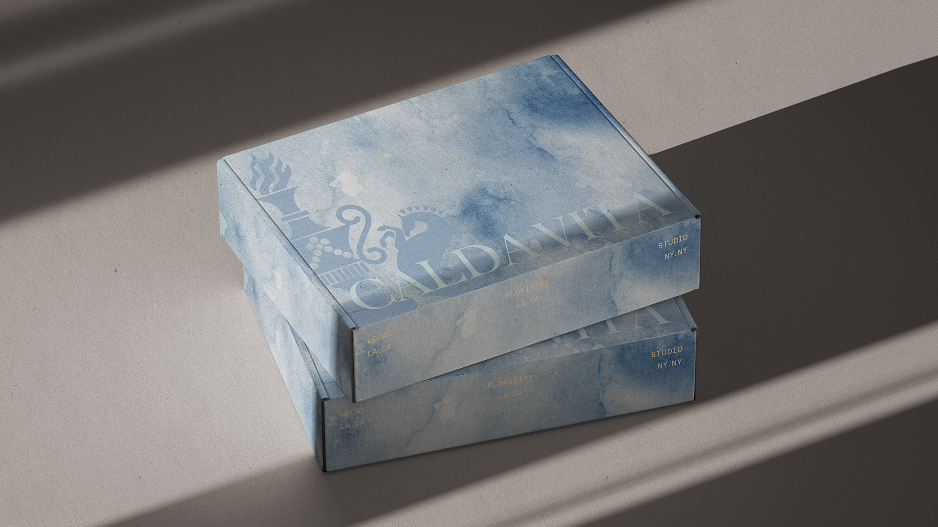 calda vita mailing boxes