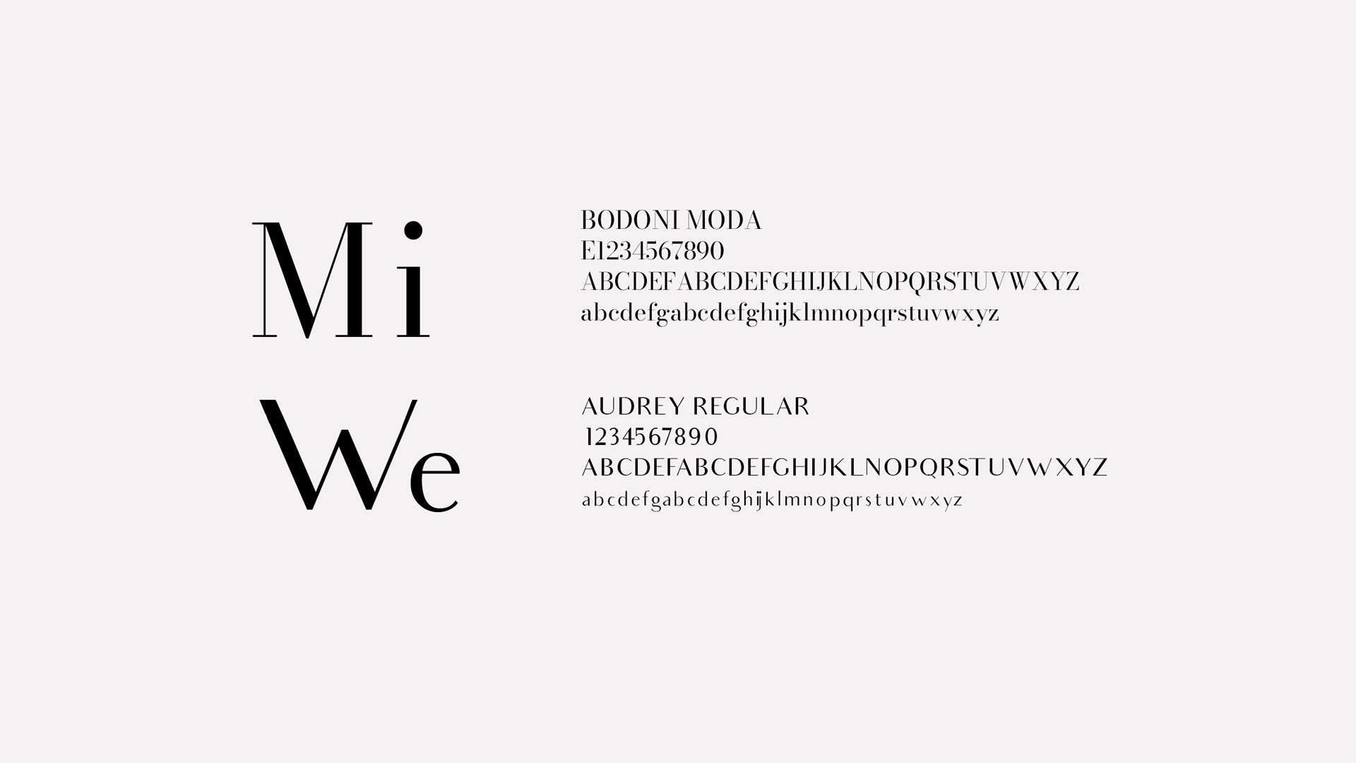 Emma Guardia Team Identity Adams Design Boston