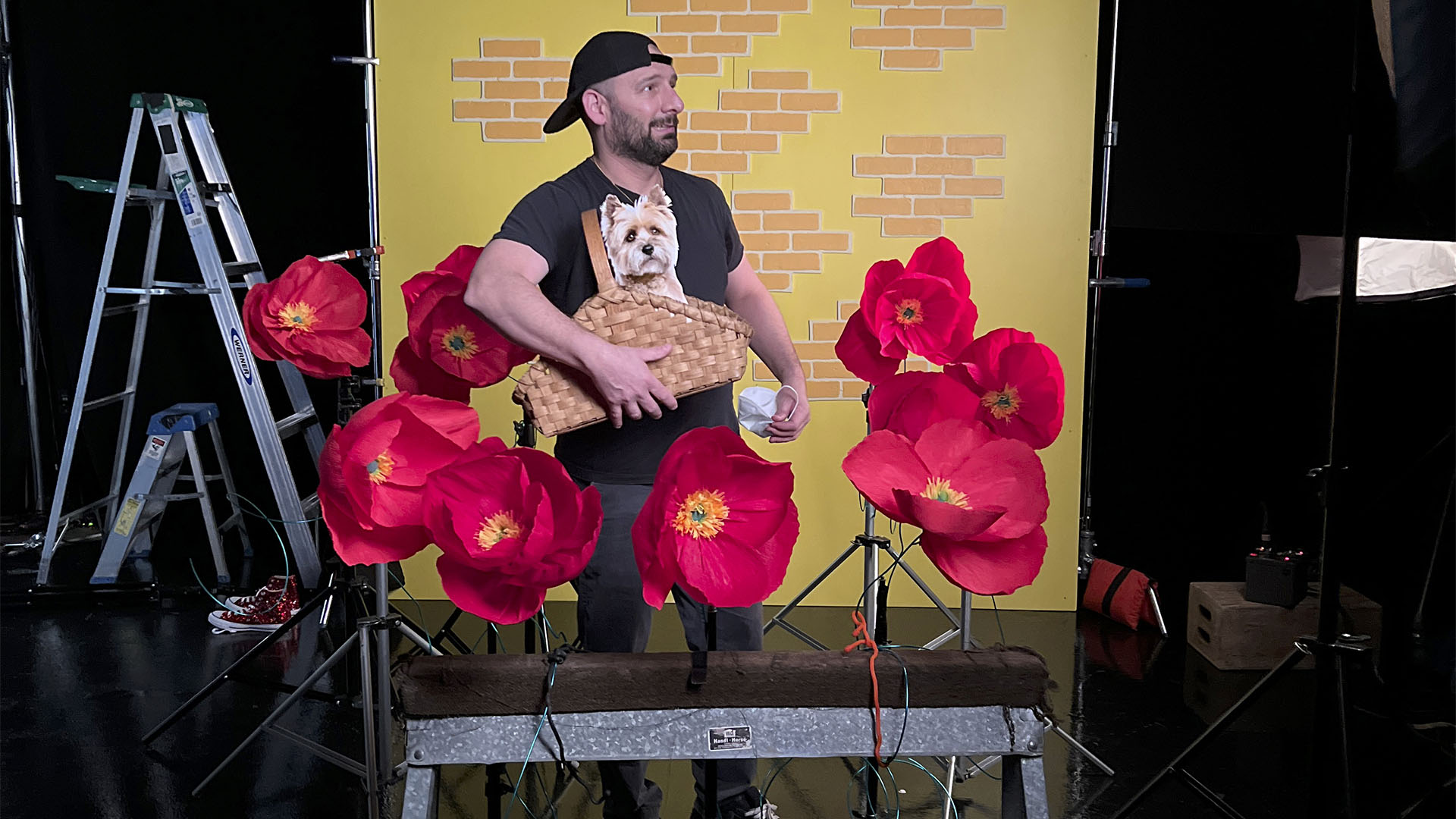 emma guardia man holding fake dog with yellow background