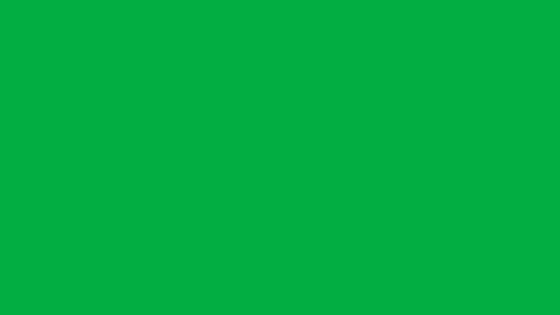 makor management 354 green