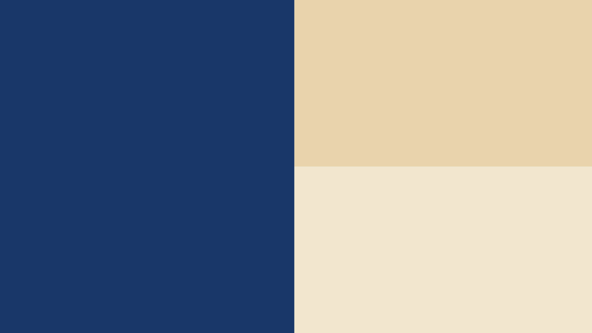 moses brown school campaign color palette blue and beige