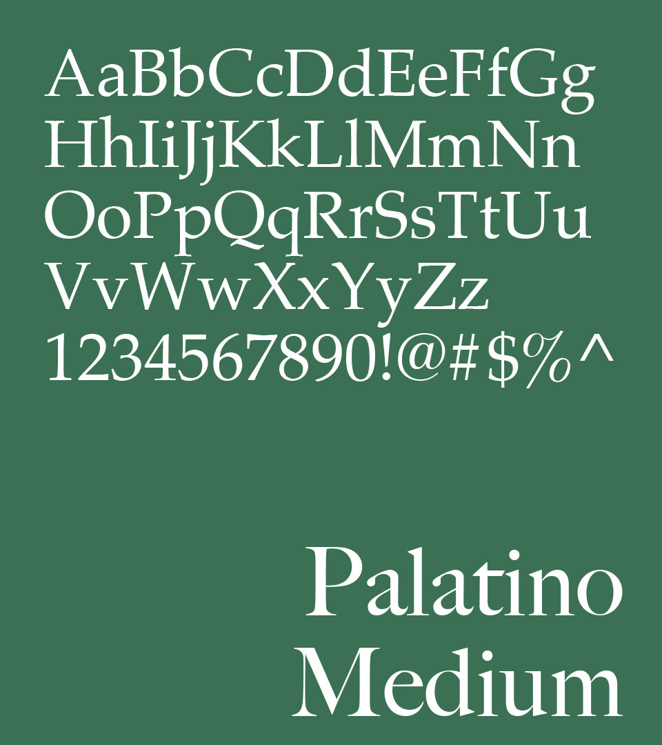 noannet fonts on green for branding