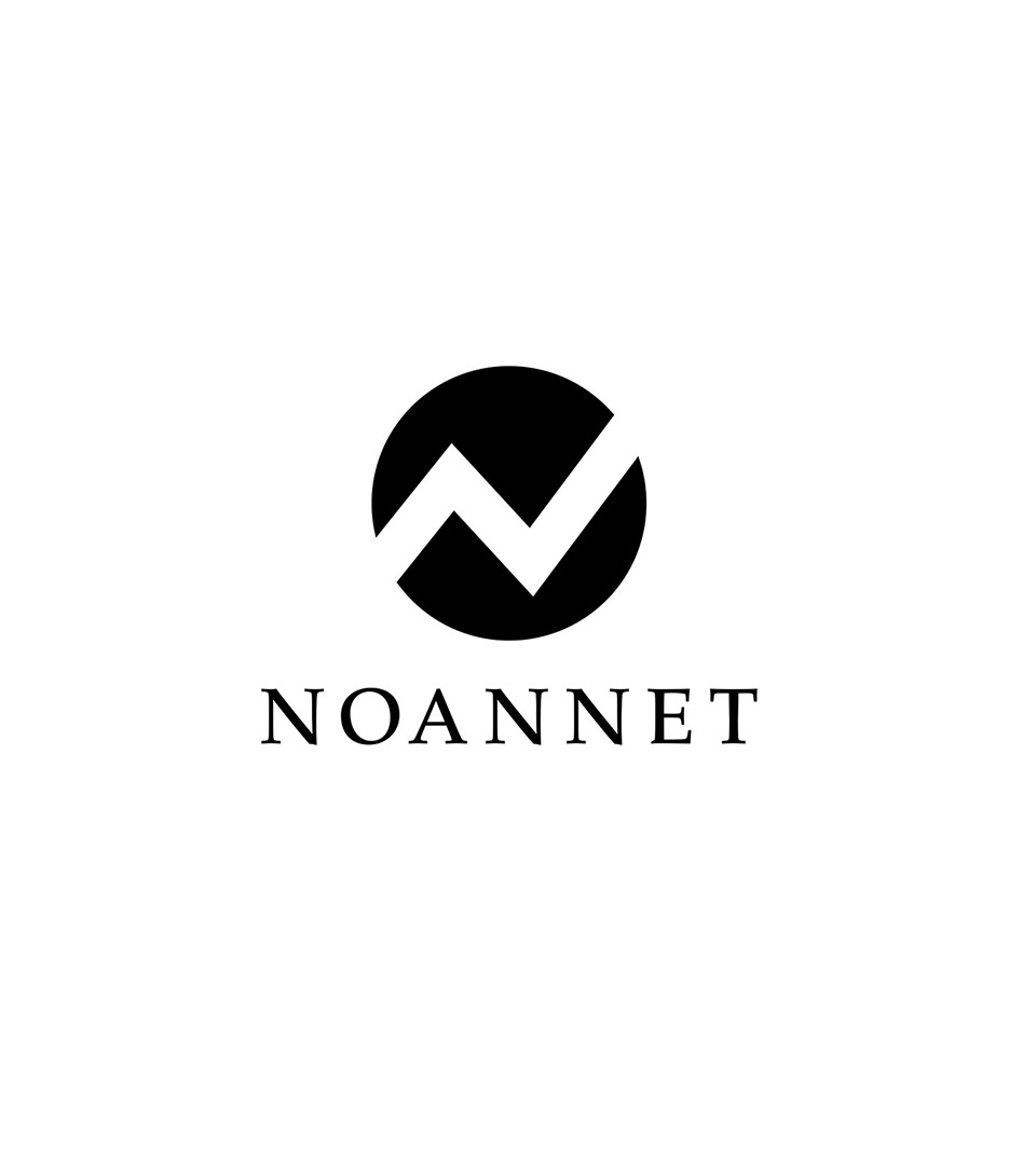 noannet group black logo vertical