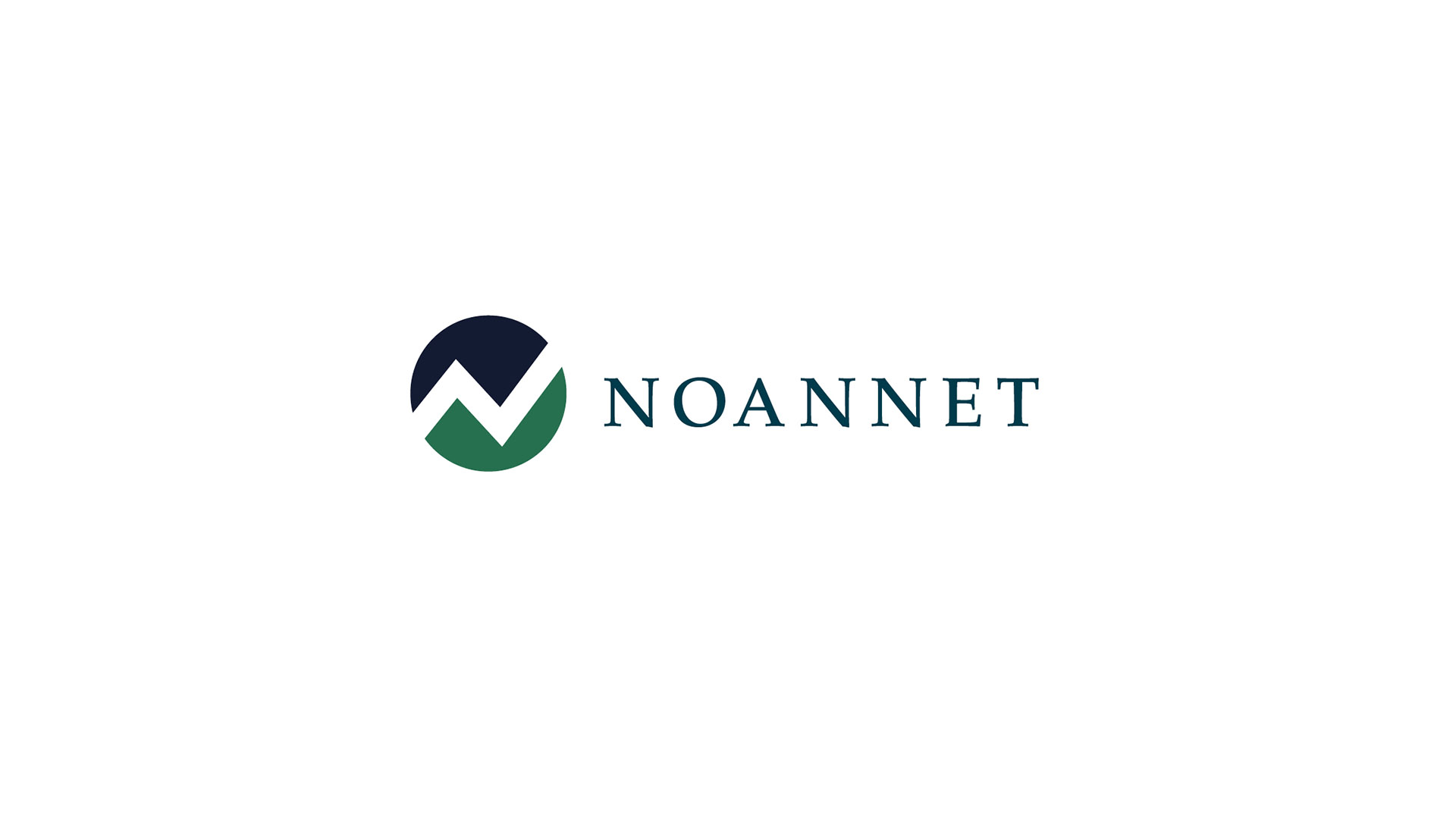 noannet group logo on white