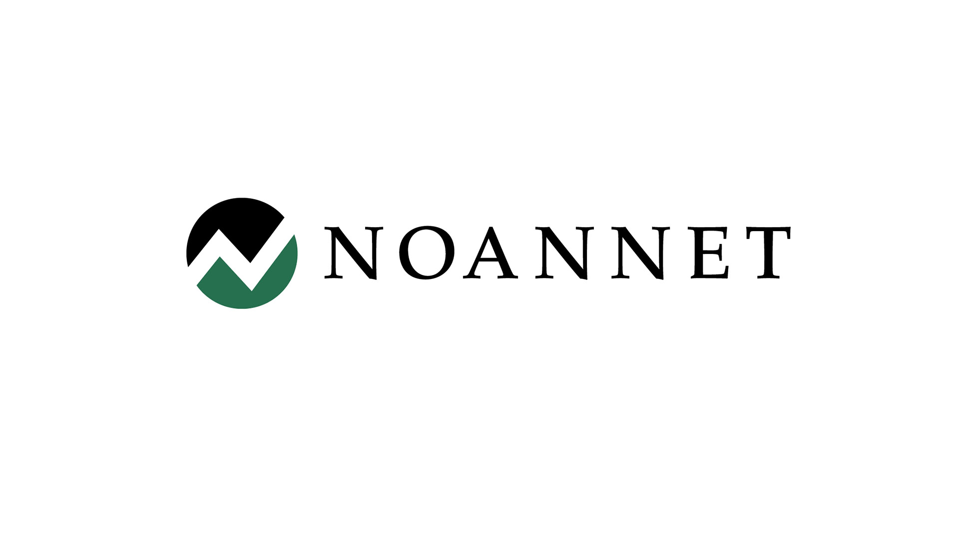 Noannet wordmark and logo lockup designed for corporate brand use.