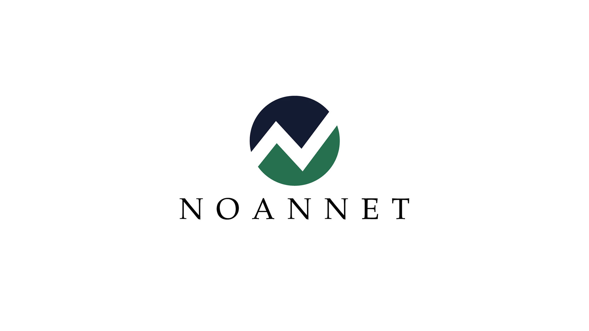 noannet logo on white for logo page