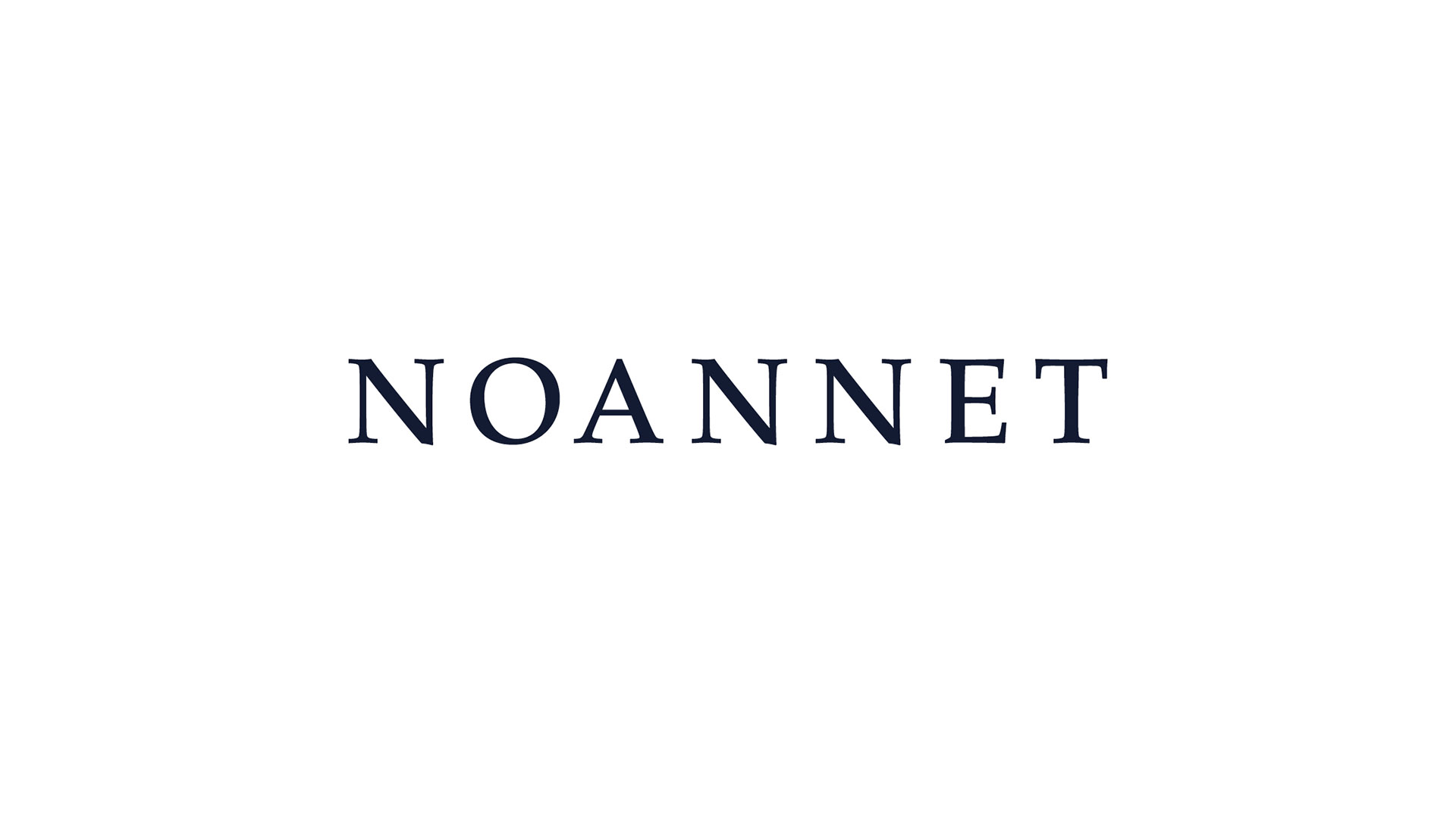 Noannet wordmark and logo lockup designed for corporate brand use.