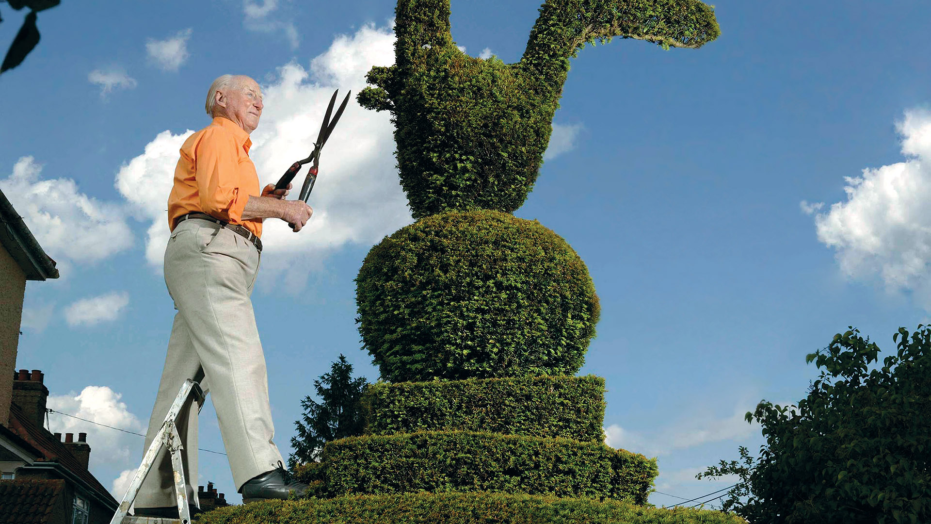 shreve crump and low mature man on ladder with sheers and topiary