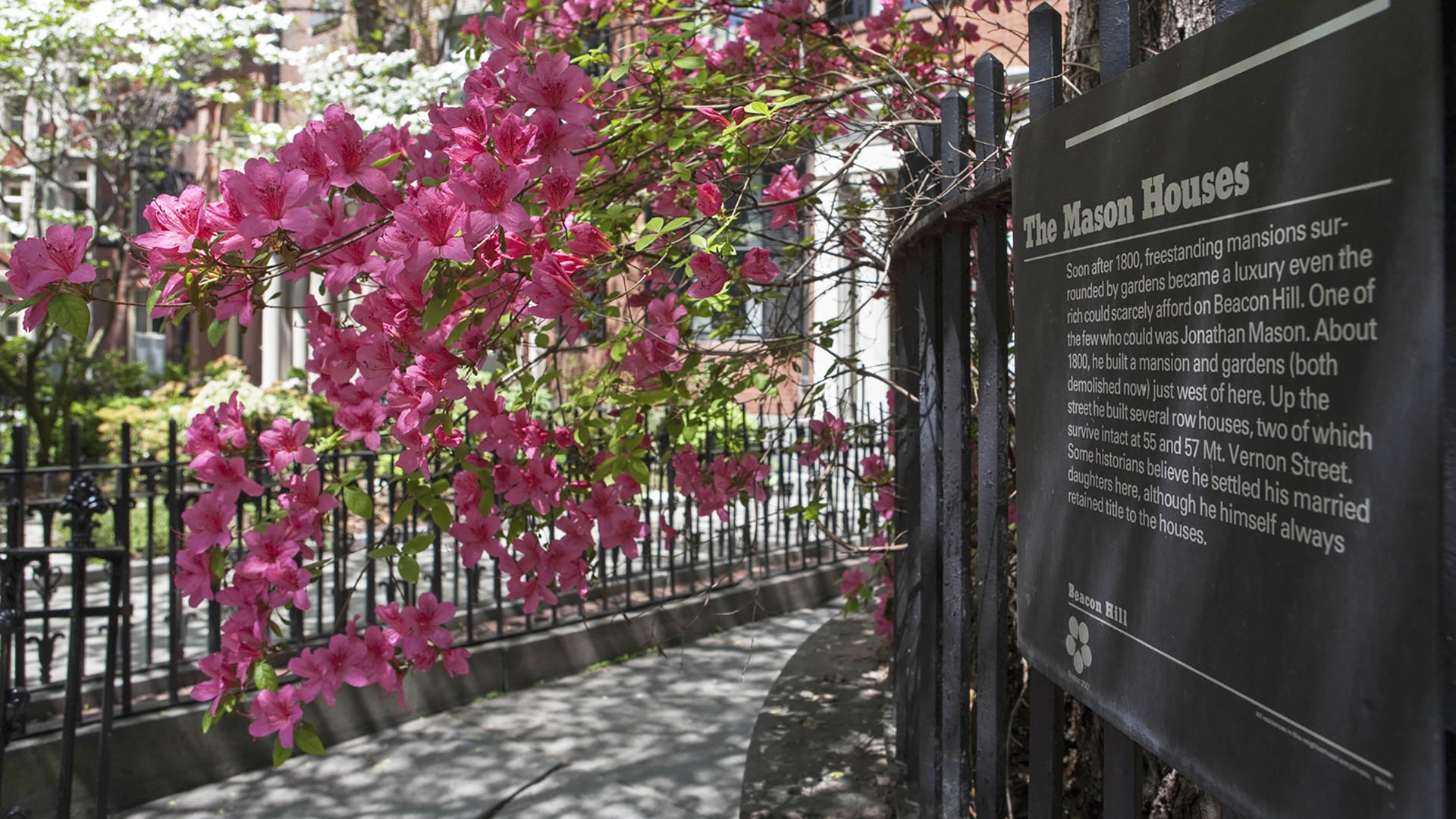 signet beacon hill mason sign