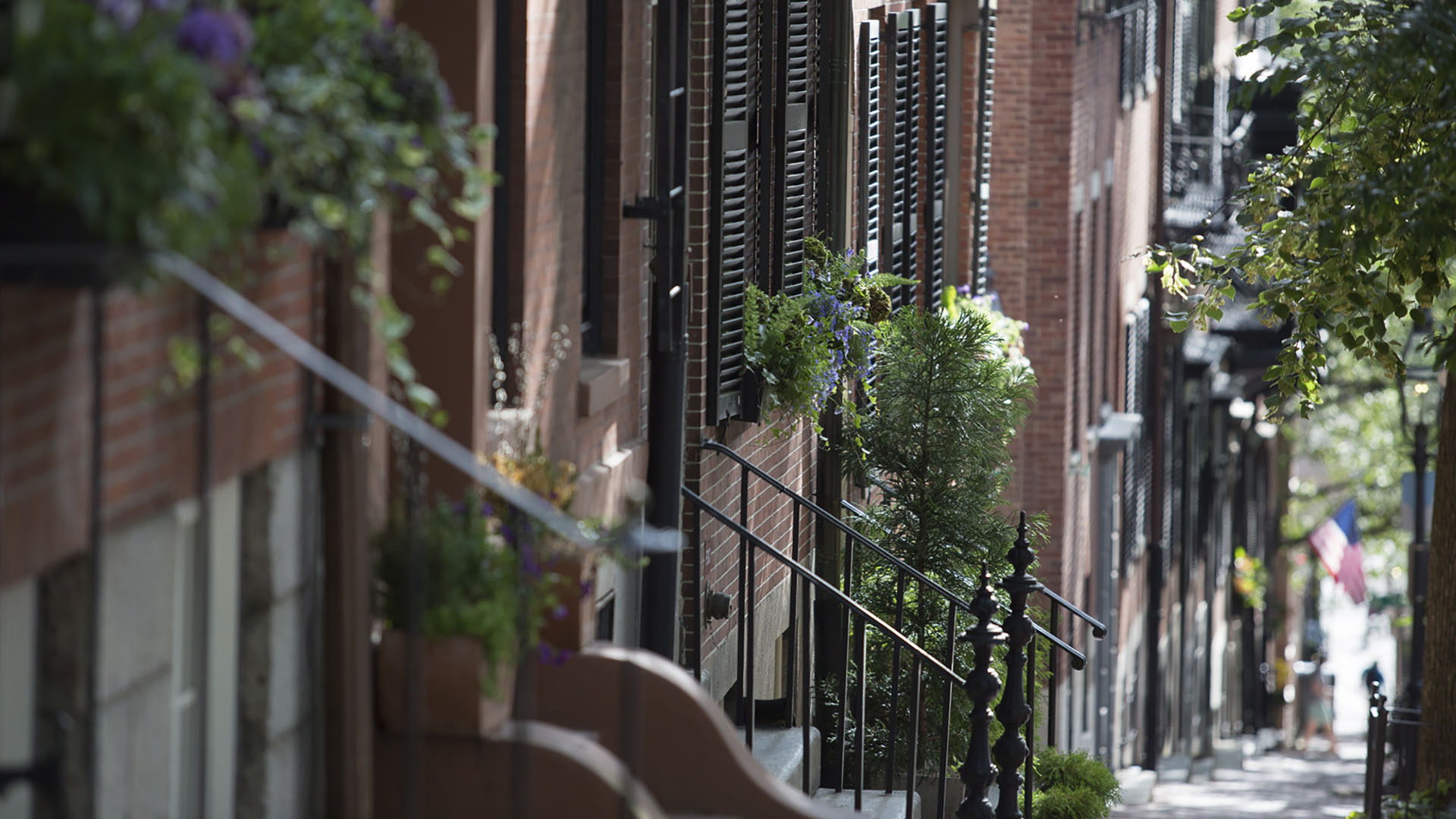 signet view down beacon street