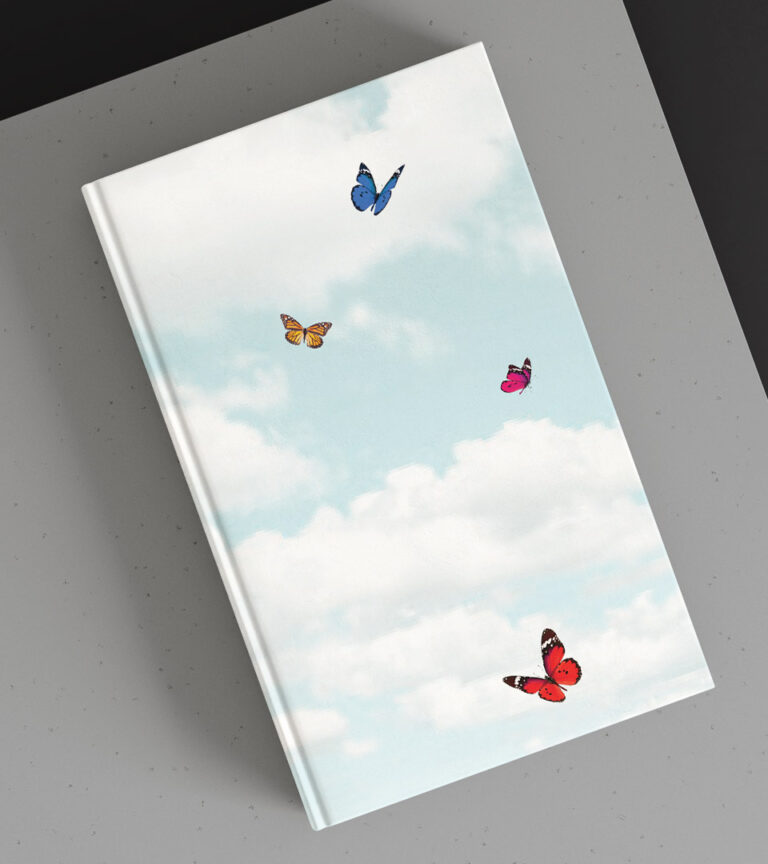 stratus brochure with butterflies cover on black