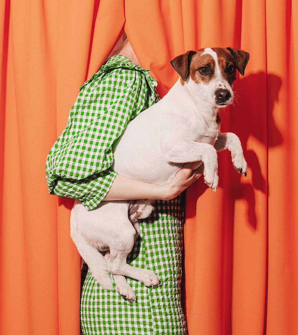 tango apartments woman in green checked dress holding dog with orange curtain