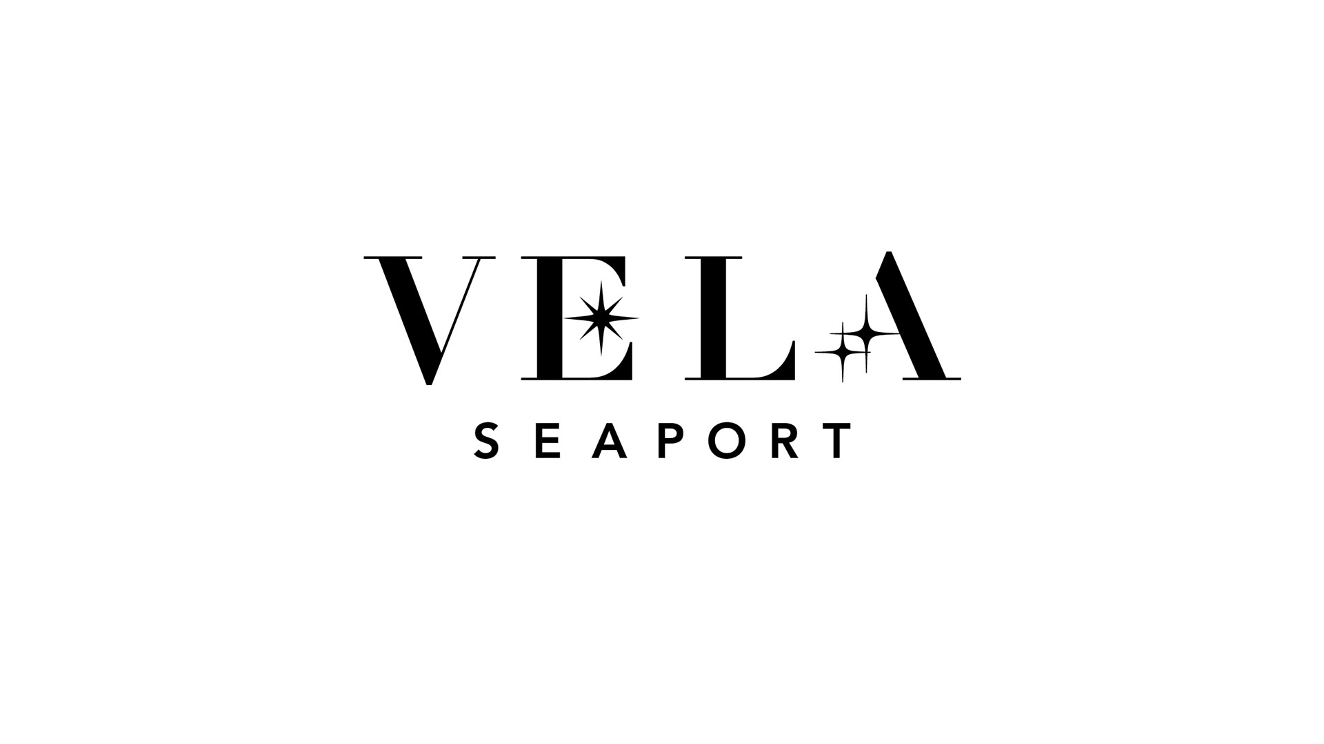 vela black logo for sliders