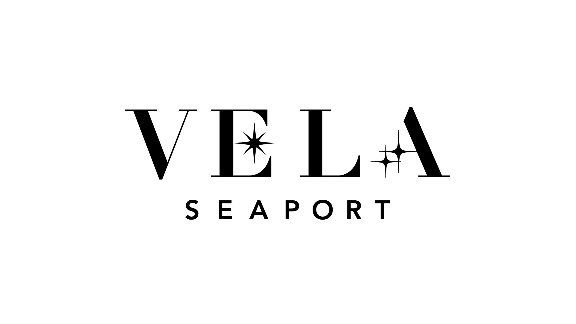 vela black logo on white