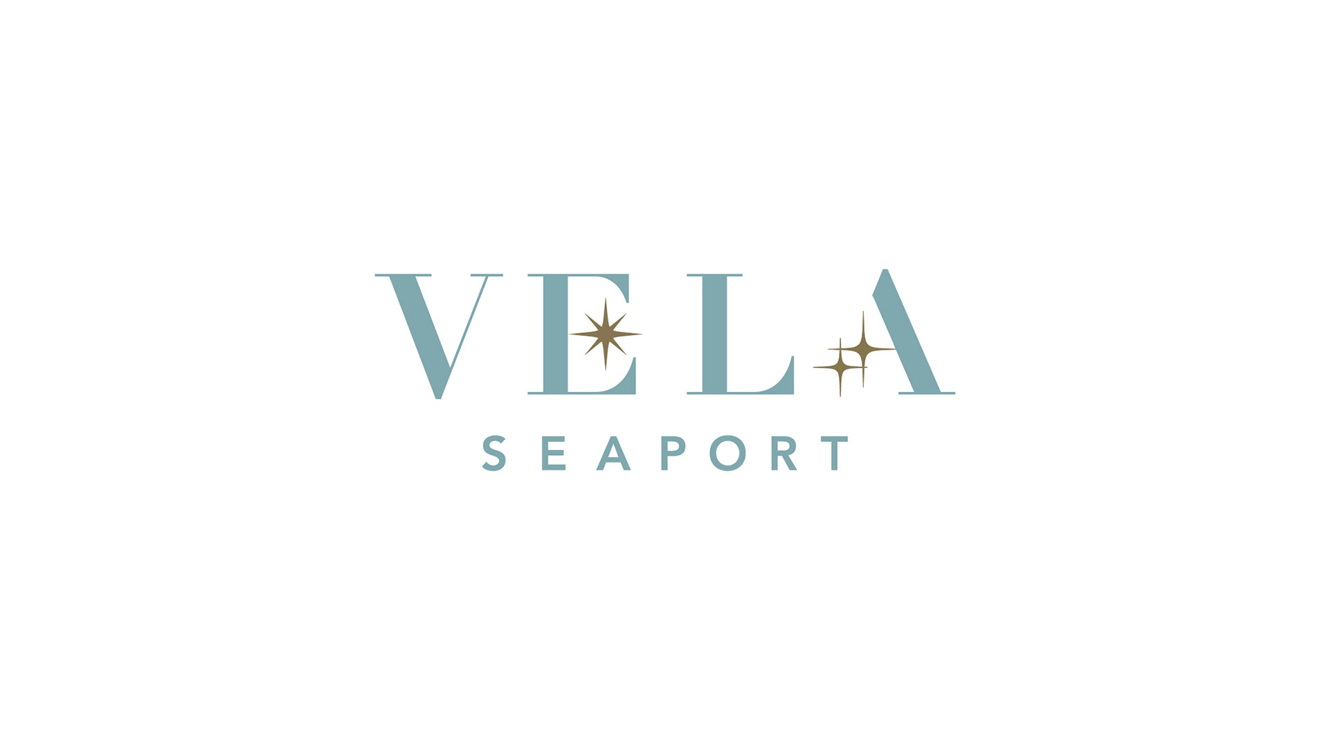vela color logo on white