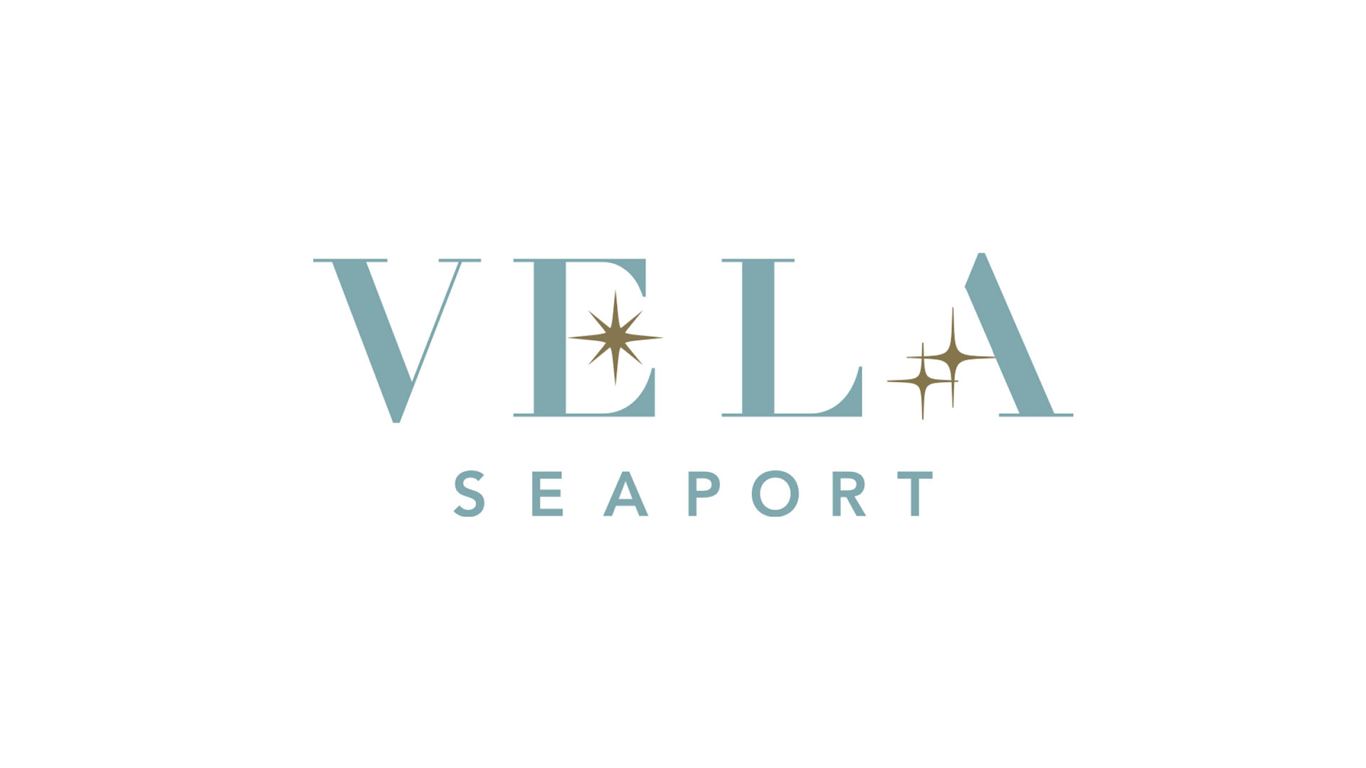 vela color logo on white